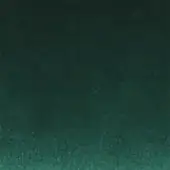 Fern 13